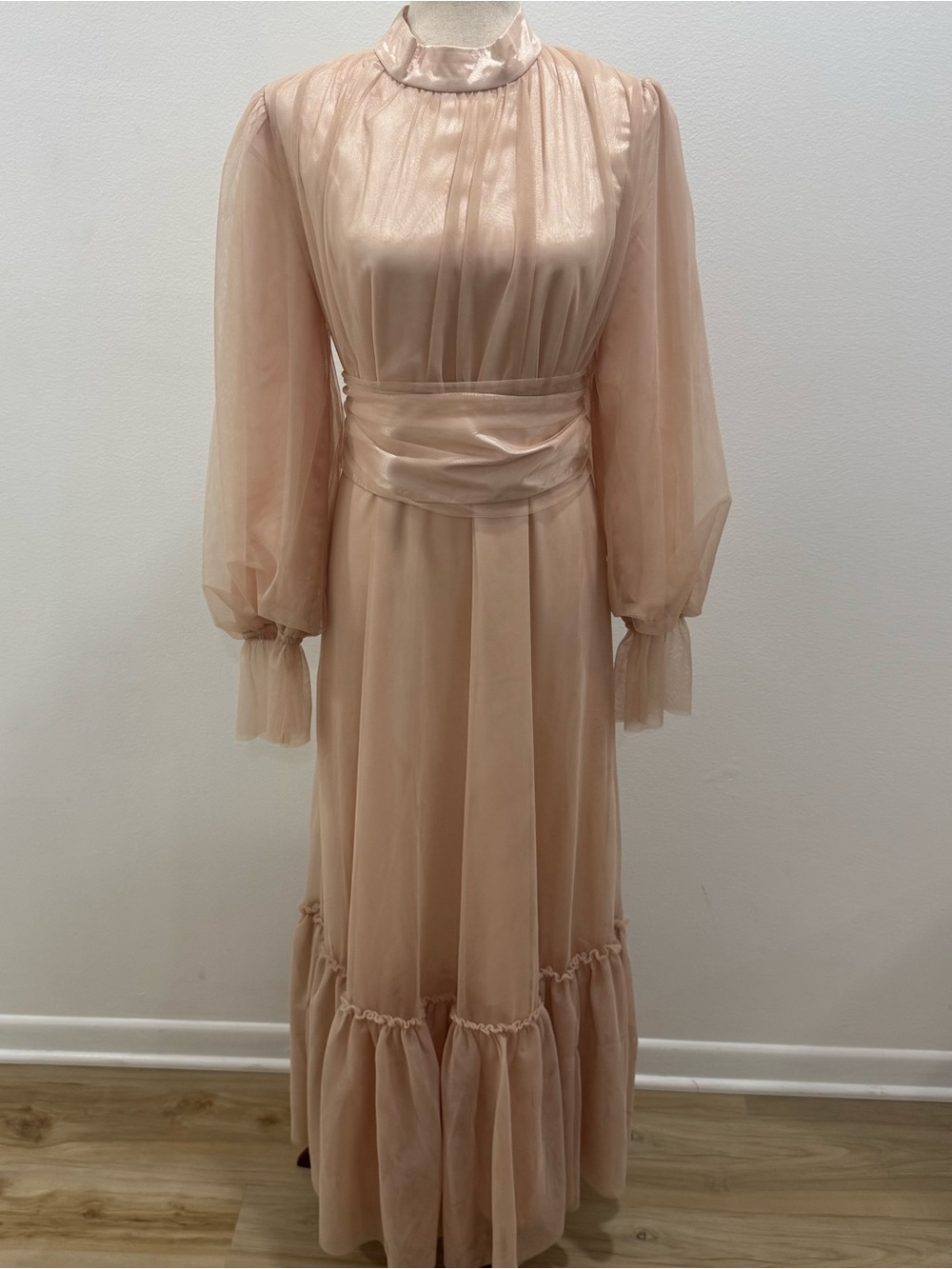 Blush Sheer Long-Sleeve Maxi Dress with Cinched Waist